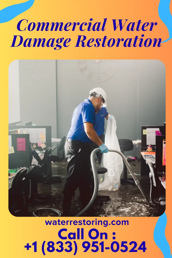 Commercial Water Damage Restoration in Malibu, CA