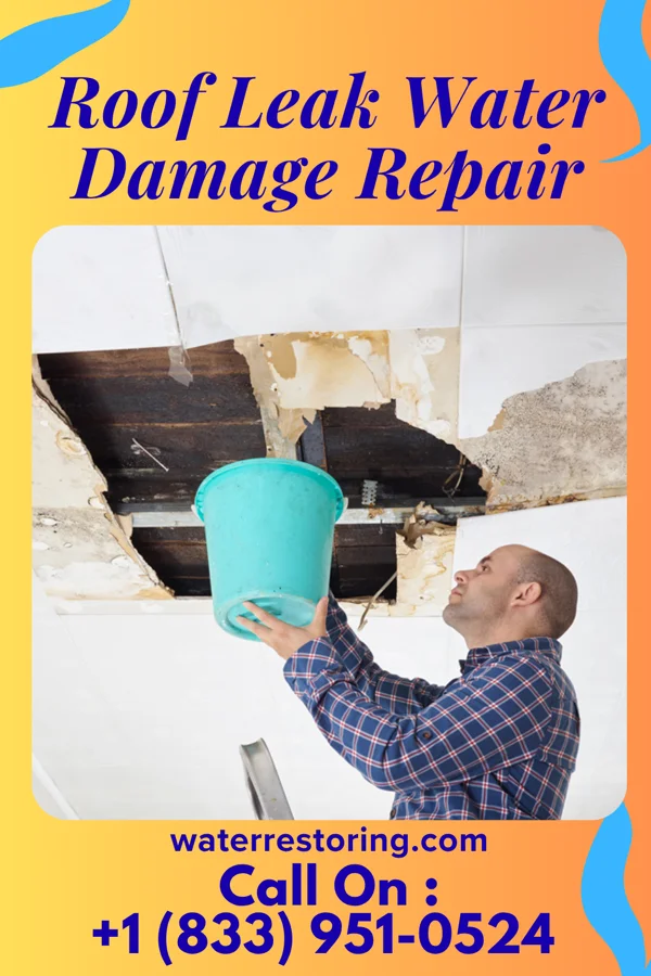 Roof Leak Water Damage Repair in Malibu, CA